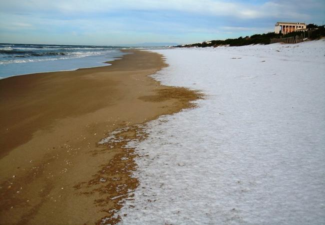 spiaggia "imbiancata" a Sabaudia