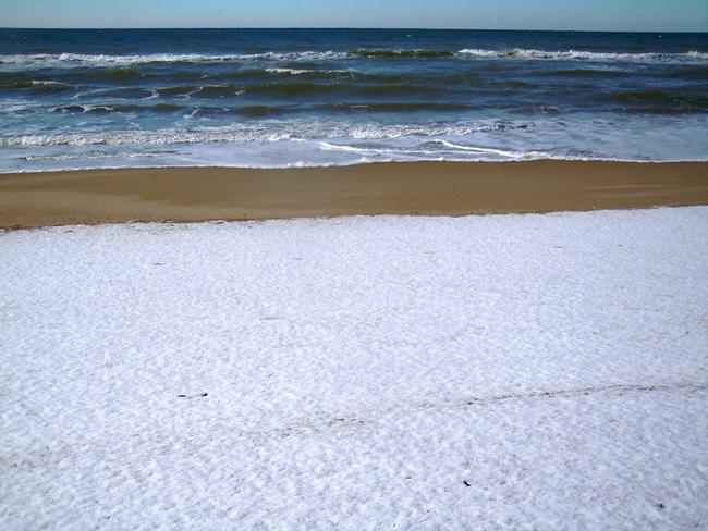 spiaggia "imbiancata" a Sabaudia