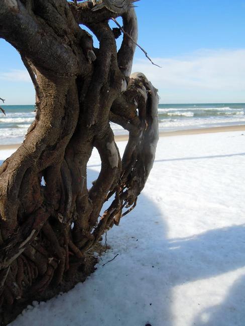 spiaggia "imbiancata" a Sabaudia