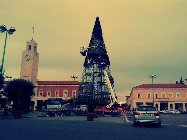 L'albero di Natale in allestimento