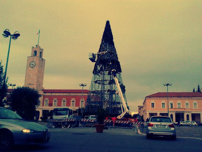 L'albero di Natale in allestimento