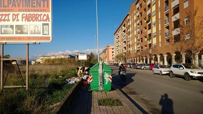 foto di Graziano Nardin