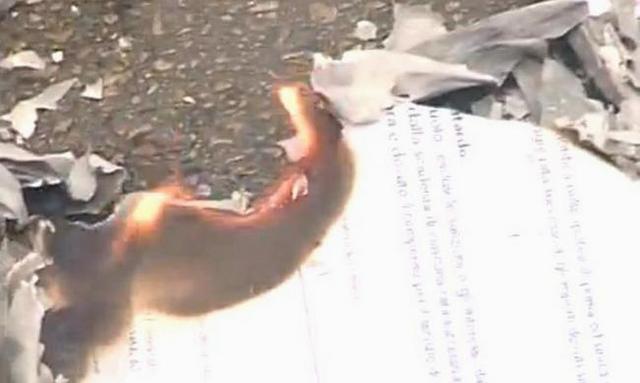 Movimento 9 dicembre, nuova manifestazione a Latina. Bruciate cartelle Equitalia