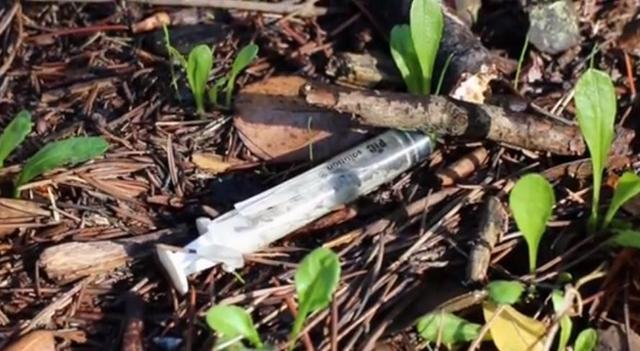 Degrado ai “Giardinetti” di Latina, cittadini esasperati