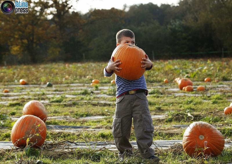 2014 halloween nel mondo 23