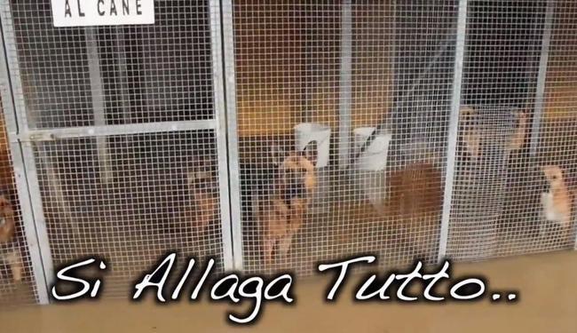 Il 2014 di Latina? Un anno (non proprio) da ricordare