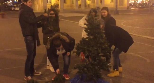 Manca l’albero di Natale in piazza a Latina, ci pensano i cittadini