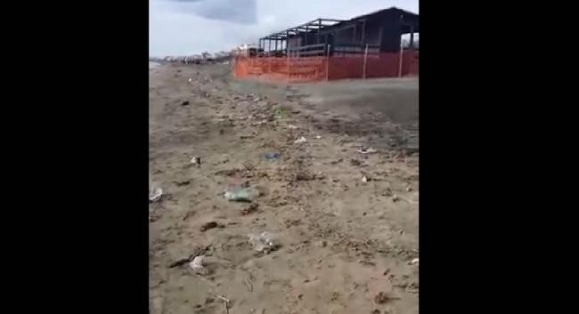 Latina, il lungomare è pieno di rifiuti: sulla spiaggia anche un cane morto