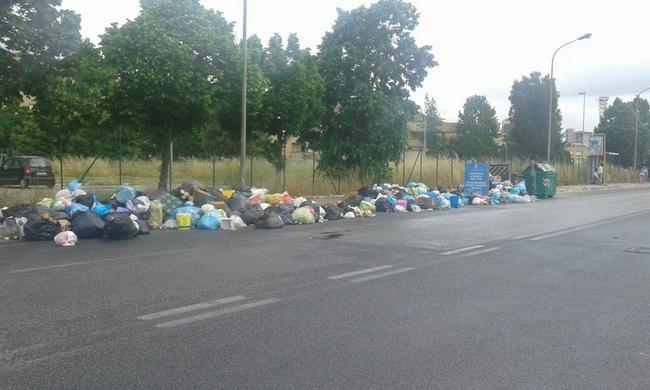 Rifiuti in strada e zecche, è emergenza a Latina