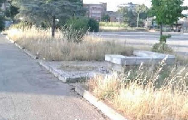 Latina, i cittadini lanciano una petizione per riqualificare l’area del mercato settimanale