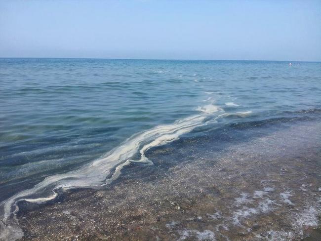 Ecco le condizioni dell’acqua sul lungomare di Latina