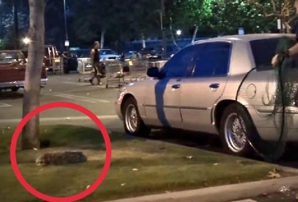 Trovano un cane abbandonato in parcheggio, ecco cosa fanno per salvarlo