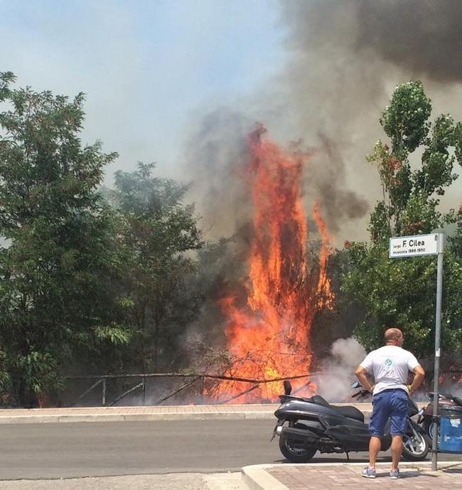Latina devastata dagli incendi, rogo in Q4