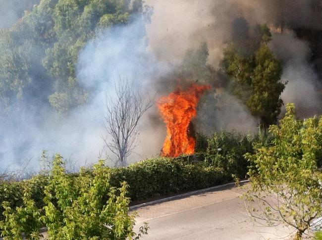 Incendi senza fine a Latina, le fiamme lambiscono le abitazioni tra via Isonzo e via dell’Agora