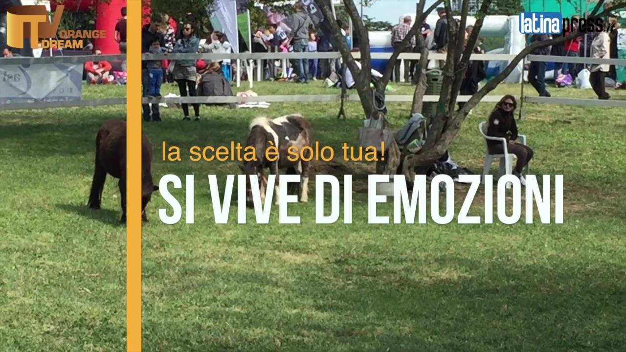 Sport in Famiglia al Laghetto dell’Eur – Roma