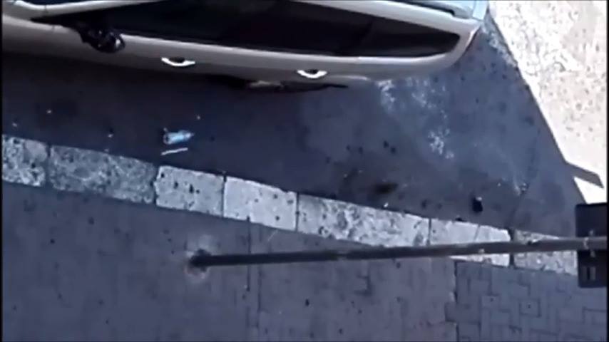 Topi in zona pub(via Neghellli) a Latina, il video di un nostro lettore