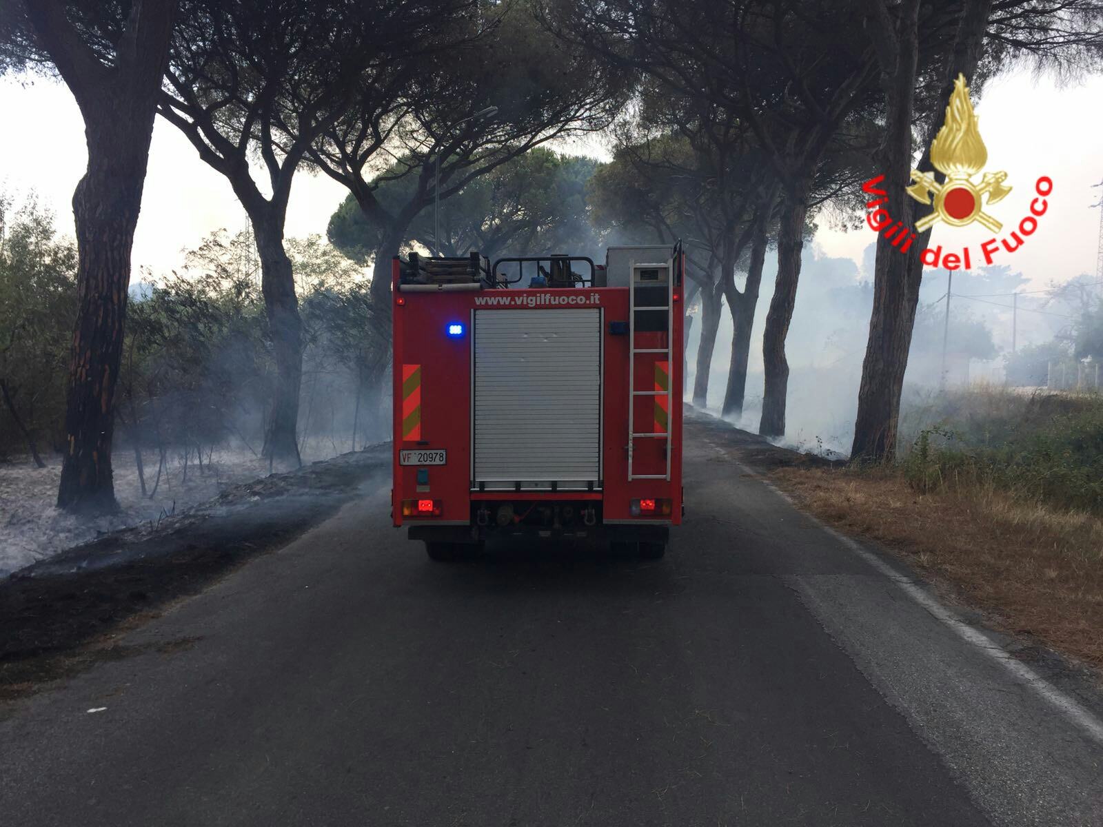Imponente incendio sulla litoranea a Latina, le fiamme minacciano le case VIDEO