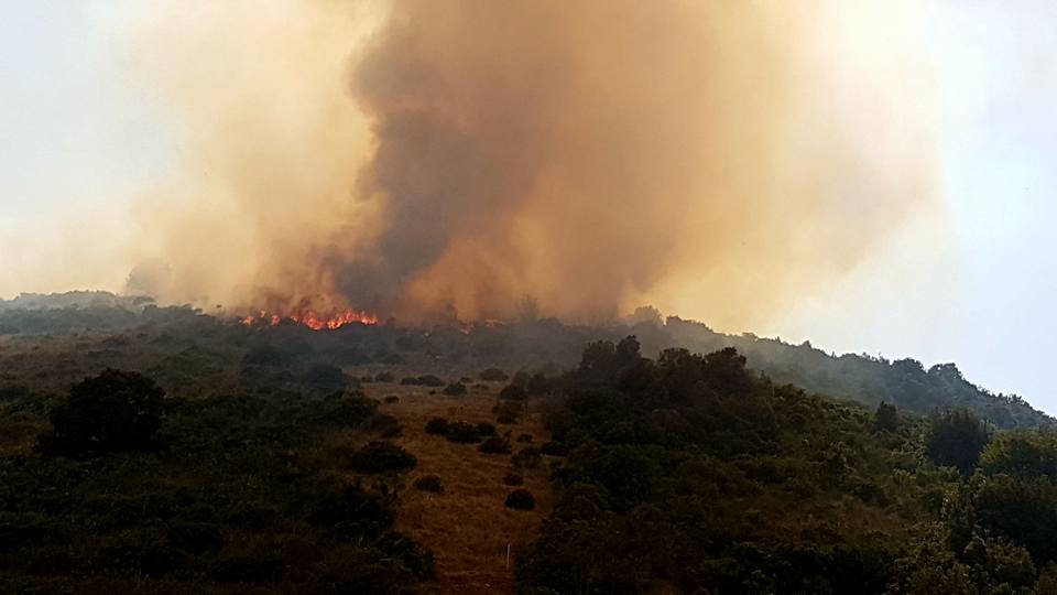 Devastante incendio sulla montagna di Sezze, distrutti ettari di vegetazione VIDEO