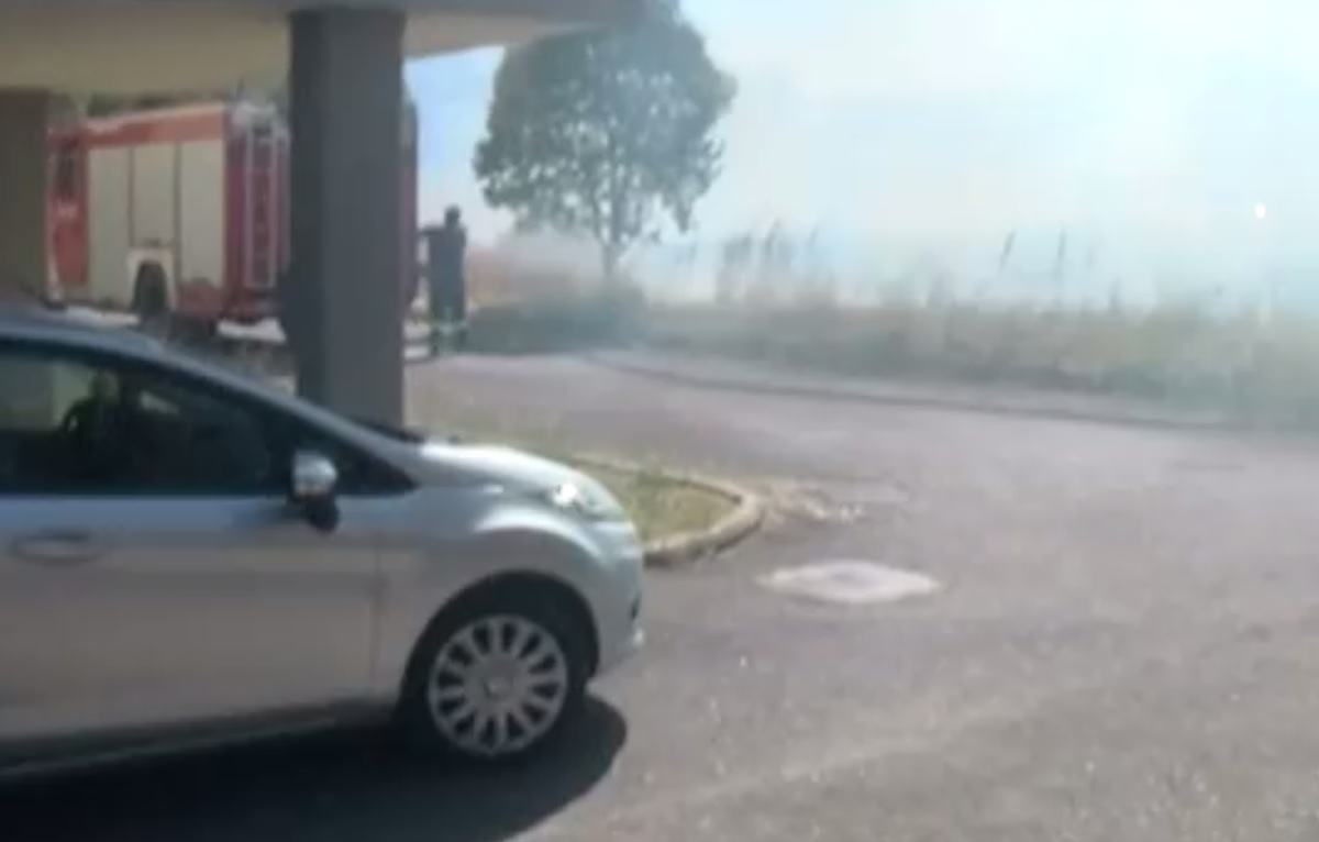 Latina, incendi e paura in città. Fiamme in diversi quartieri del capoluogo VIDEO