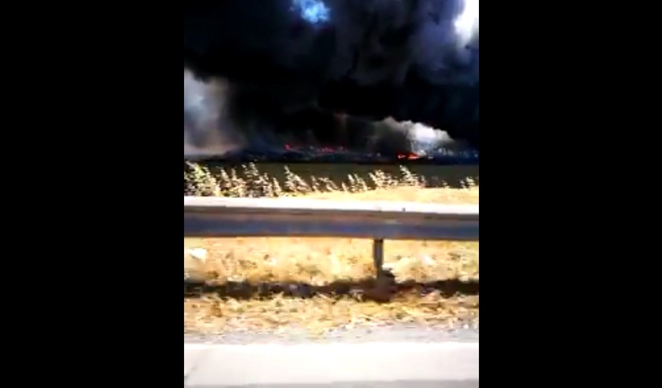 Ennesimo gigantesco incendio sulla Pontina, il video di un nostro lettore