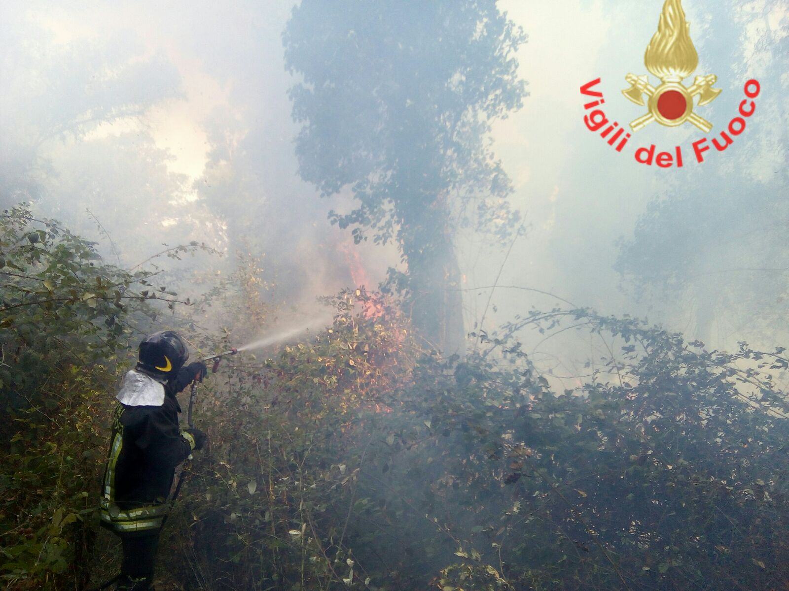Vasto incendio nel Parco Nazionale del Circeo, sul posto i Vigili del fuoco VIDEO