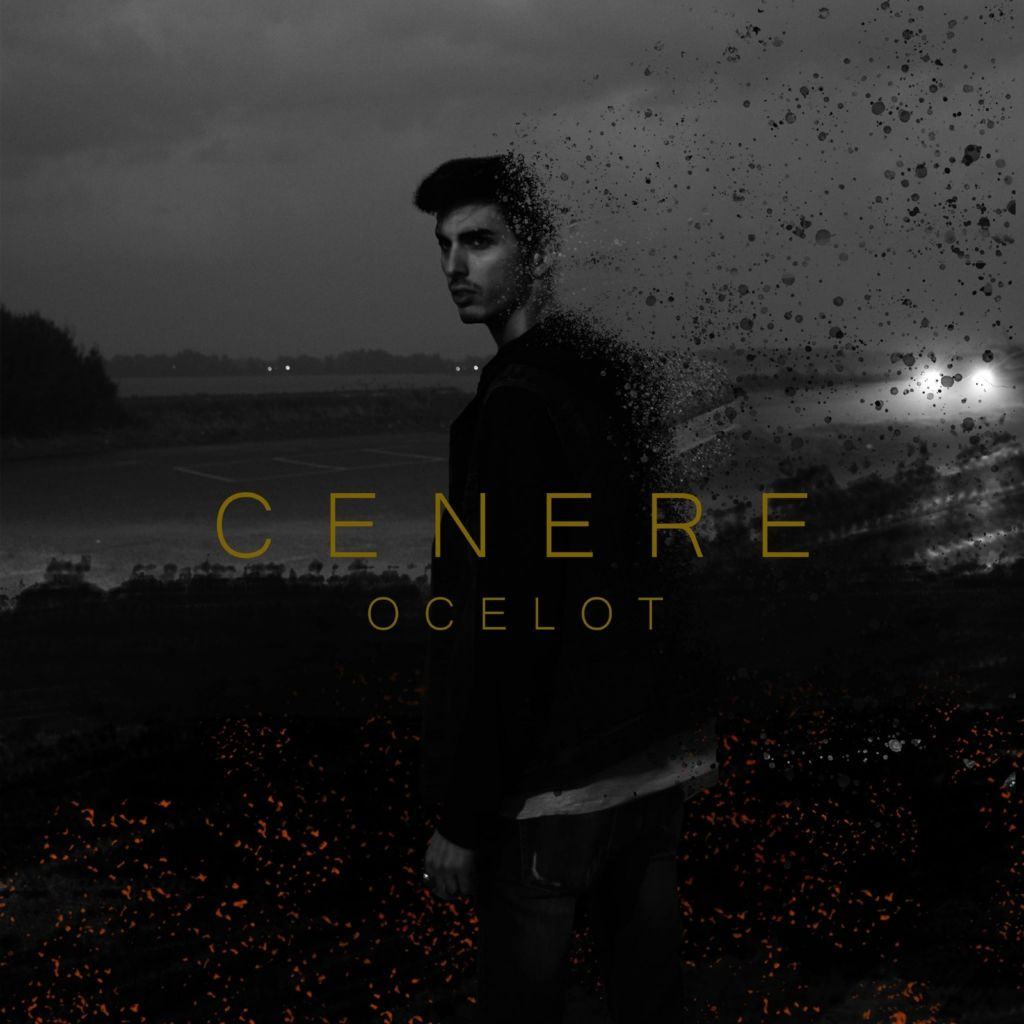 Ocelot, il giovane artista di Latina che stravolge l’immagine classica ...