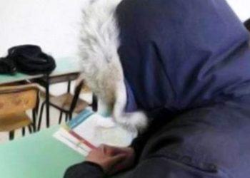 Latina, termosifoni spenti e studenti al gelo nelle scuole