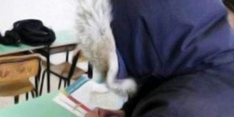 Latina, termosifoni spenti e studenti al gelo nelle scuole
