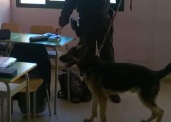 Terracina, arrestato in classe pusher 18enne: nascondeva la droga in tasca