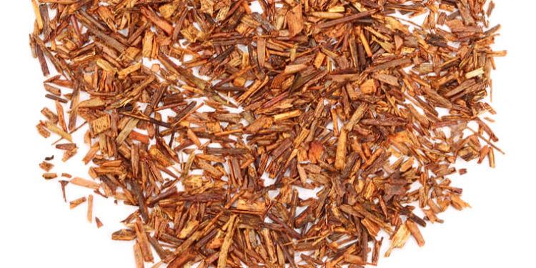 Alla scoperta del thè rosso africano, il rooibos: benefici e proprietà per la salute