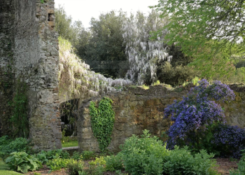 Meraviglie pontine da scoprire: Torrecchia vecchia, tra storia e natura selvaggia.