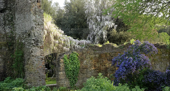 Meraviglie pontine da scoprire: Torrecchia vecchia, tra storia e natura selvaggia.