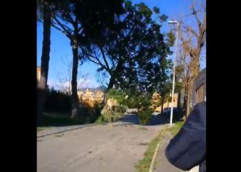 Vento killer: tre morti nel Lazio. Albero cade tra la gente a Priverno, il video choc