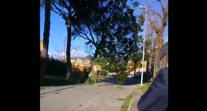 Vento killer: tre morti nel Lazio. Albero cade tra la gente a Priverno, il video choc