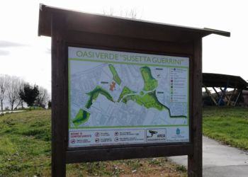 Latina, parco tra Q4 e Q5 in totale abbandono. Sassano: “Serio pericolo per i nostri bambini” FOTO