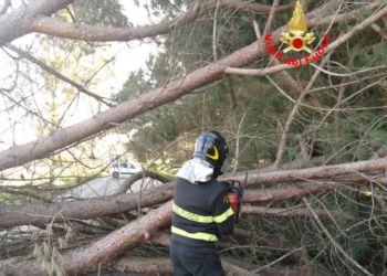 Nuova allerta meteo per vento forte a Latina e provincia: “Limitate gli spostamenti”