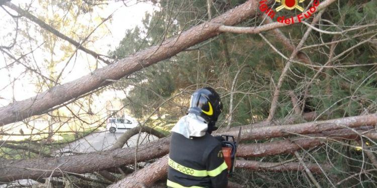 Nuova allerta meteo per vento forte a Latina e provincia: “Limitate gli spostamenti”
