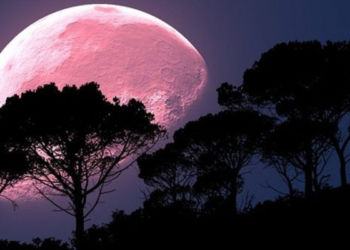 L’inverno finisce oggi: la Superluna illumina la prima nottata primaverile di Latina