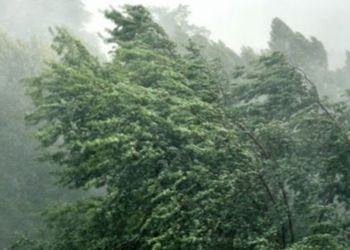 Forte vento e mareggiate, scatta l’allerta a Latina e provincia. Previste raffiche fino a 90 km/h