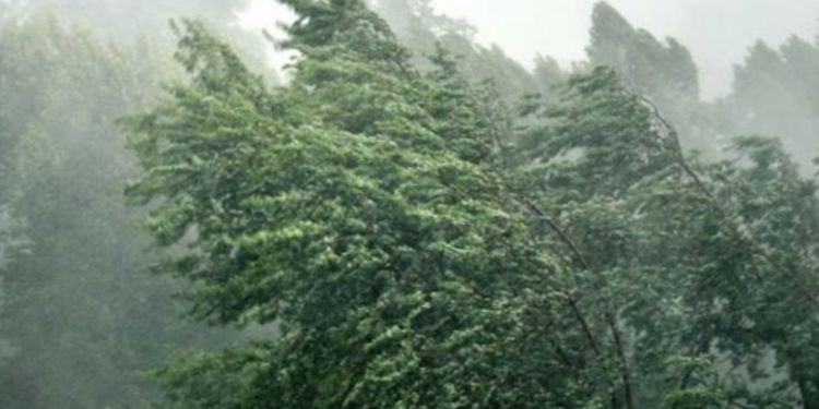 Forte vento e mareggiate, scatta l’allerta a Latina e provincia. Previste raffiche fino a 90 km/h