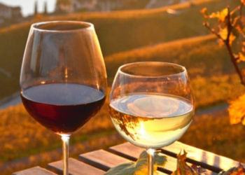 “Bianco, rosso e pontino”, l’iniziativa enogastronomica per gli amanti della birra e del vino