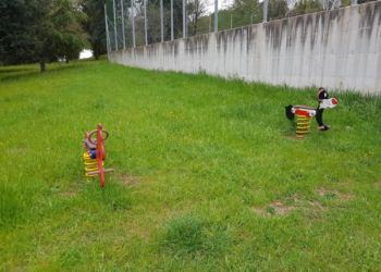 Cisterna, parco Remo Contarino: erba alta e invasione di insetti
