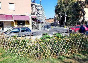 Latina- Autolinee vecchie: una finestra sul verde