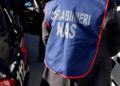 Denunciata dolcineria di Latina: conservava 13 quintali di prodotti scaduti