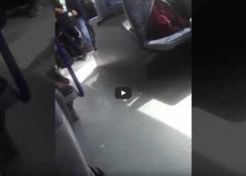 Latina, autista di bus dà “lezioni di dimagrimento” ai passeggeri VIDEO