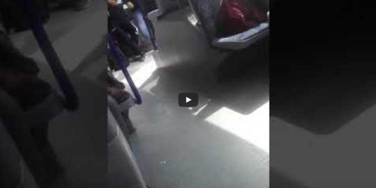 Latina, autista di bus dà “lezioni di dimagrimento” ai passeggeri VIDEO