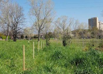 Latina, parco pubblico picchettato da un cittadino: chiede soldi al Comune