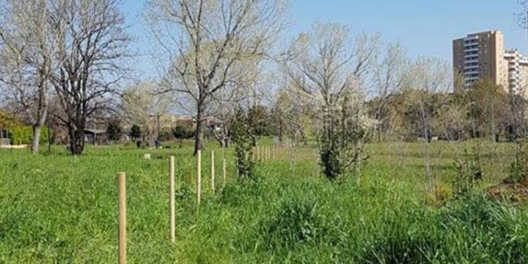 Latina, parco pubblico picchettato da un cittadino: chiede soldi al Comune