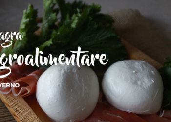 XXIII Sagra Agro Alimentare di Priverno: ecco il programma completo FOTO