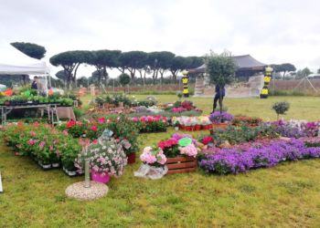 Latina: “Verde in festa”, 3-4-5 Maggio per elogiare la natura